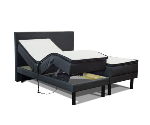 Lova CERVO (Kontinentinė)